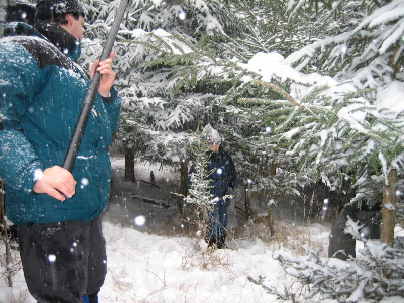 3+1 s Miroslavem Donutilem - fotka 7