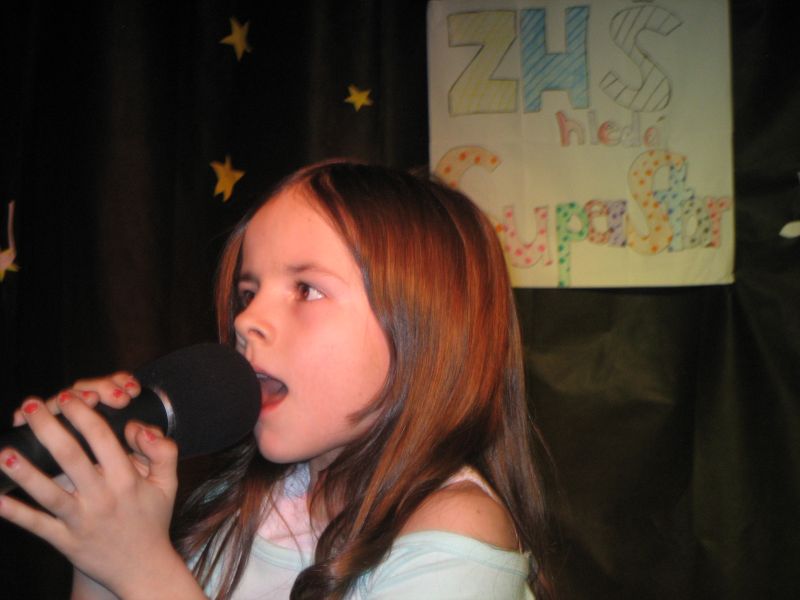 ZHŠ 2008 - fotka 58