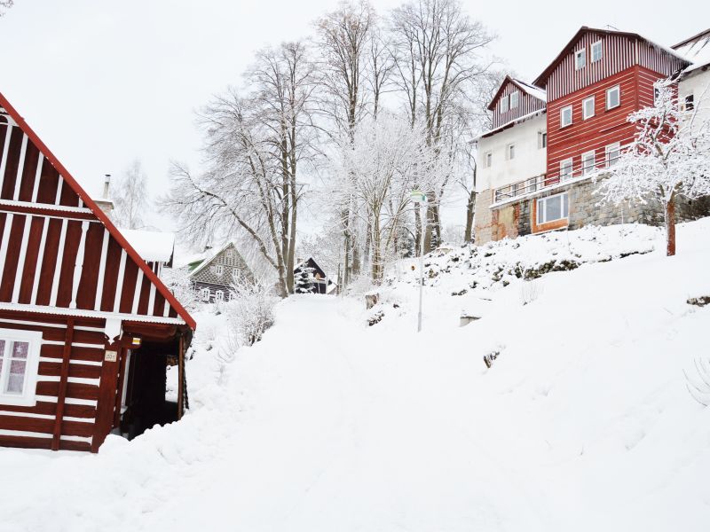 ZHŠ 2018 - fotka 55