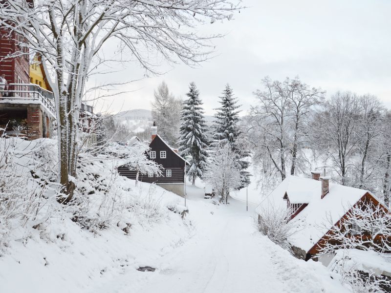 ZHŠ 2018 - fotka 56